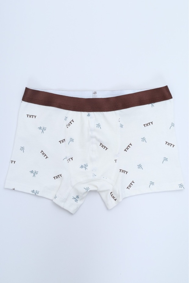 بوكسر للأولاد متعدد الأنماط مطبوع عبوة من 4pcs - 8