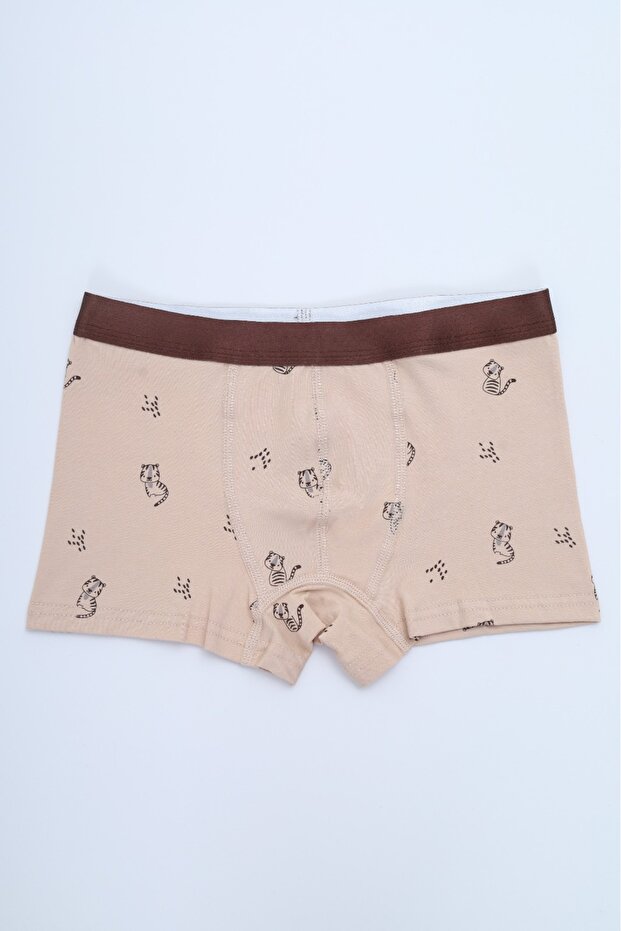 بوكسر للأولاد متعدد الأنماط مطبوع عبوة من 4pcs - 6