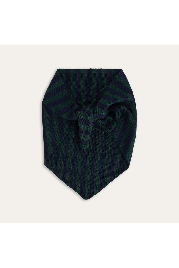 ÇİZGİLİ ATKI - 2