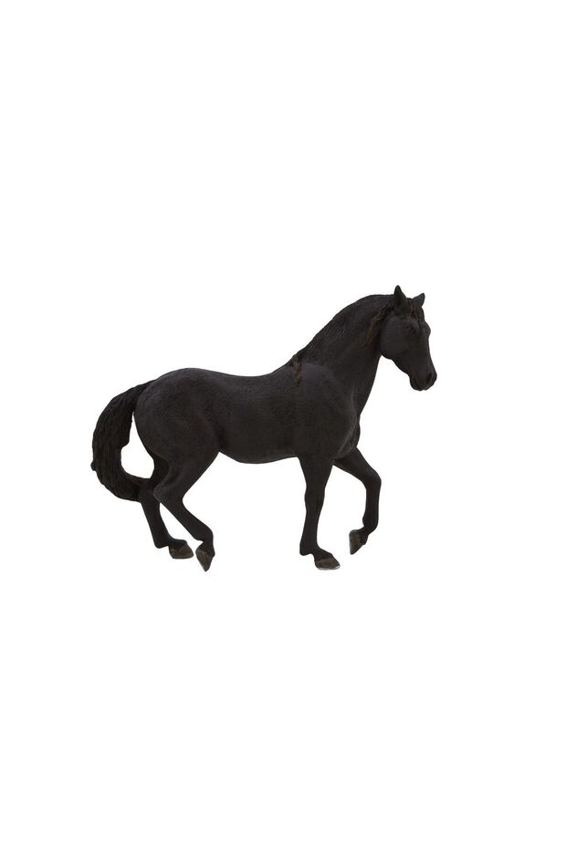 Andalusian Stallion Black 13.5x11x4cm