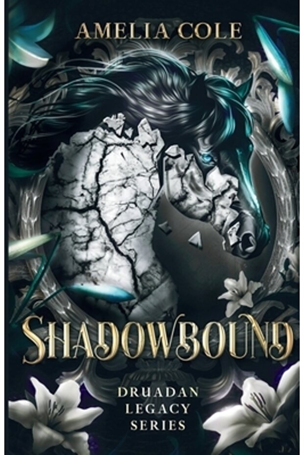 Shadowbound - 1