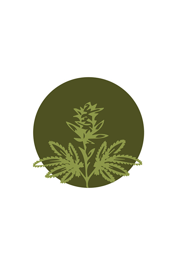 Ulei CBD Amber5 10ml - 8