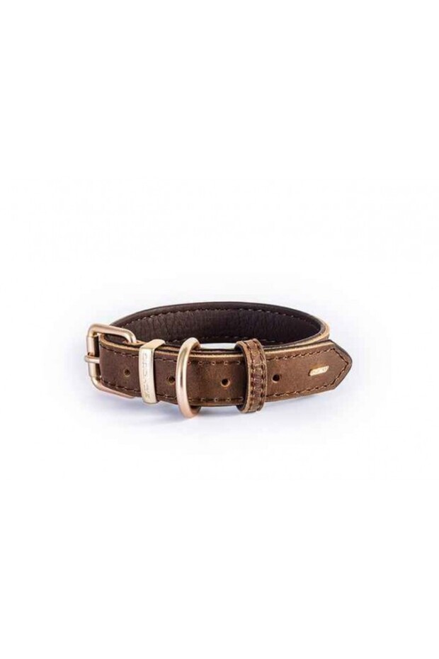 Oxford Brown Dog Collar (L)