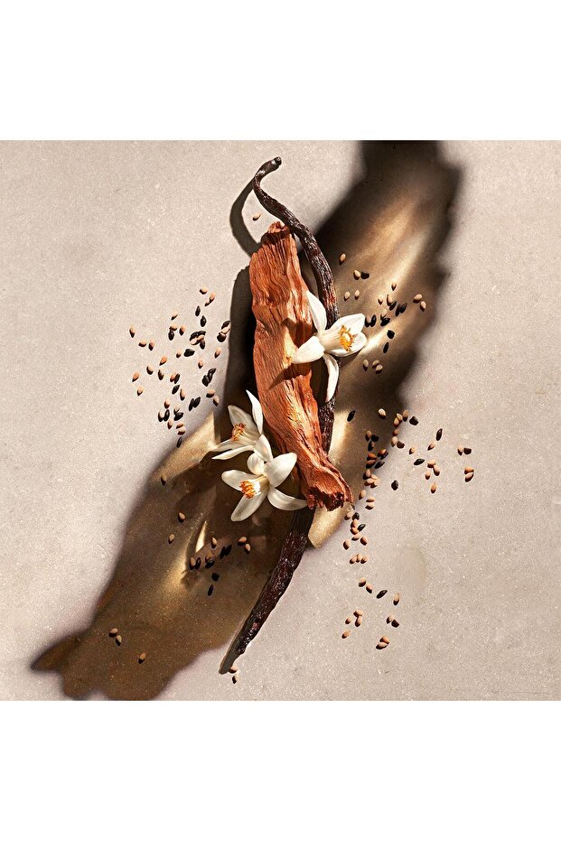 ZADIG Eau de Parfum 90 ml - 3