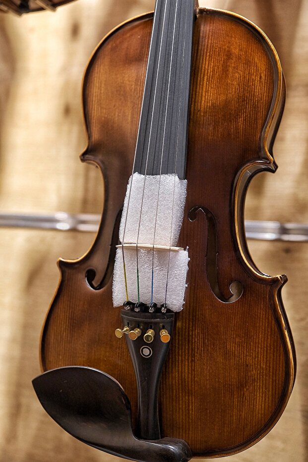 VL-904A 4/4 Keman - 5