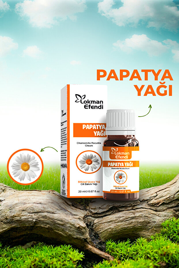 Papatya Yağı