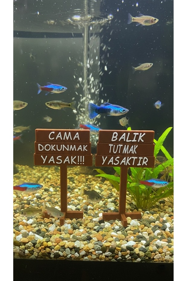Akvaryum Tabela Dekoru