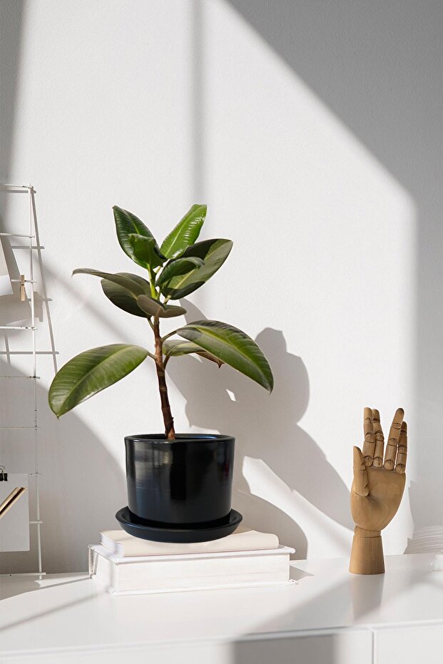 Tabaklı Siyah Silindir Çömlek Saksı 20x18 Cm - 1