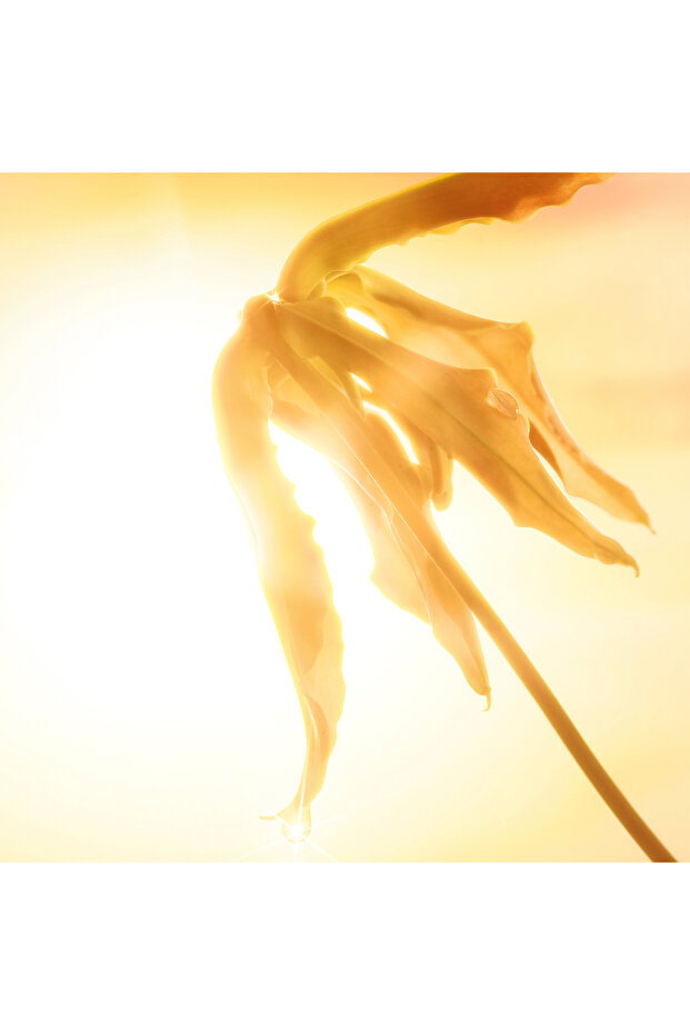 Joyphoria 10 ml Perfume - 4