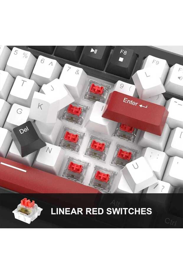 Timebox Gaming Set: 75% Mechanical Keyboard (Red Switch, Volume Knob ...