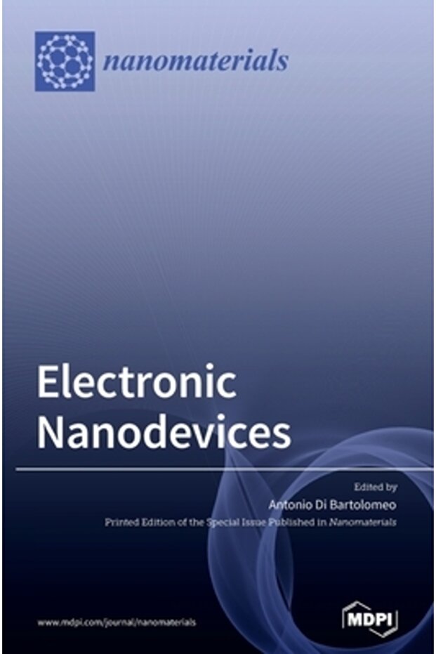 Electronic Nanodevices - 1
