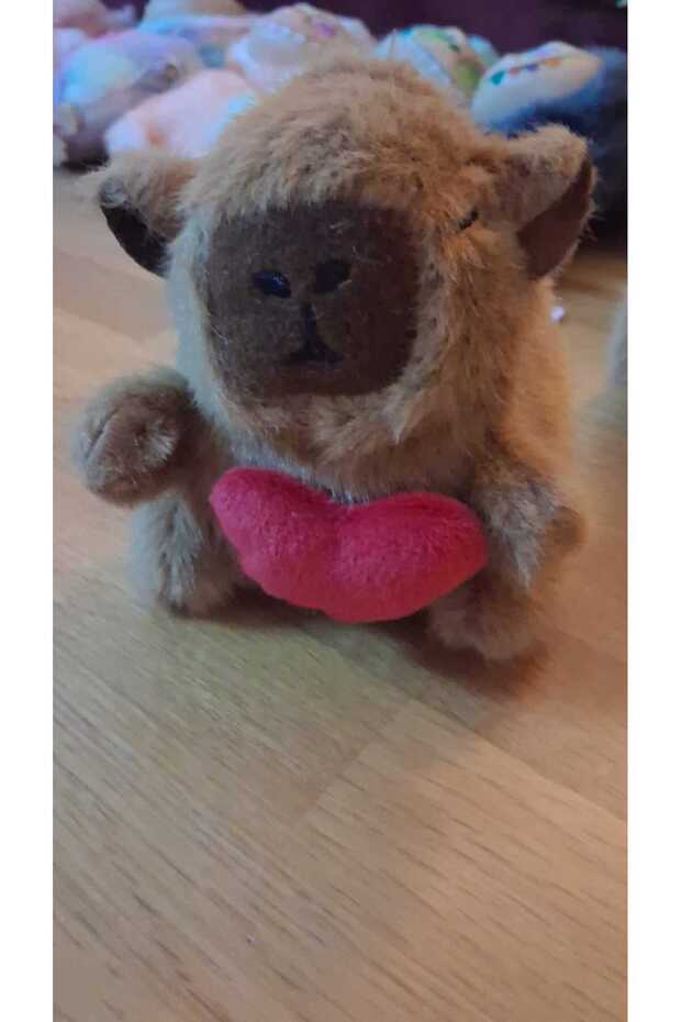 Capybara Keychain All Models 9 cm