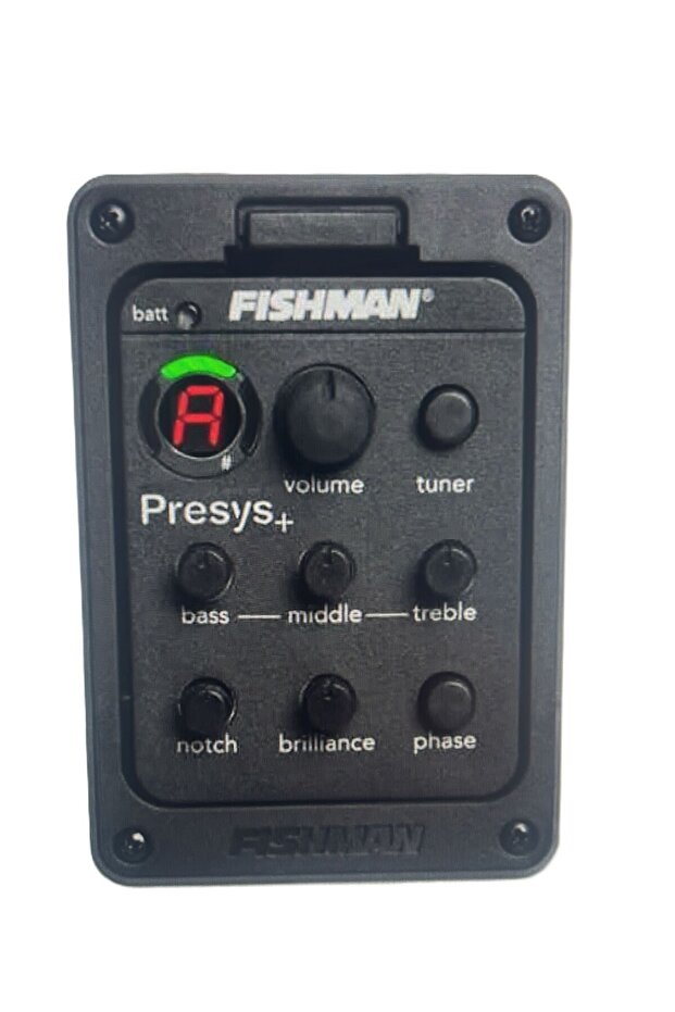 Fishman Ekolayzer