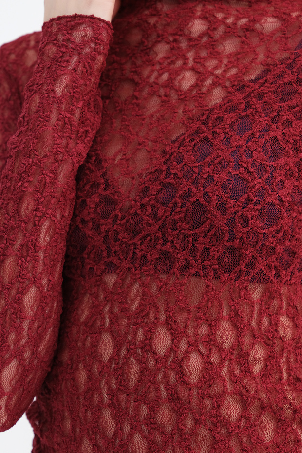 Dantelli Transparan Bluz B17693 - 4