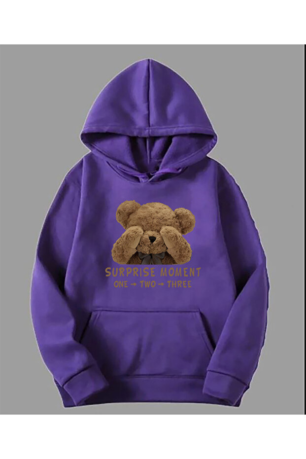 Surprise Moment Teddy Print Detailed Hooded Sweatshirt