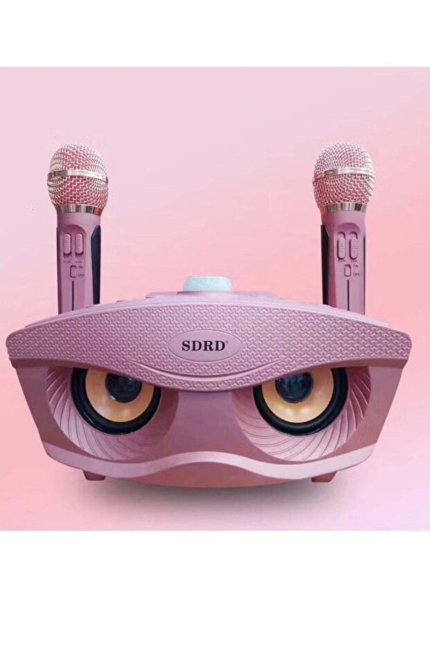 SD-306 Portable Bluetooth Karaoke Speaker with Dual Wireless Mics