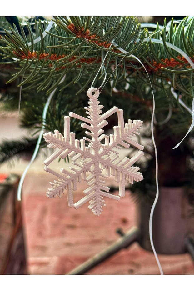 Christmas Snowflakes Decorative Ornament Set of 10