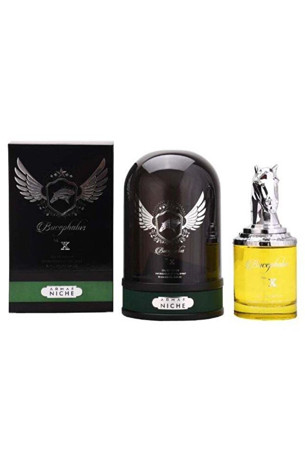 Bucephalus X Eau de Parfum for Men, 100 ml - 1