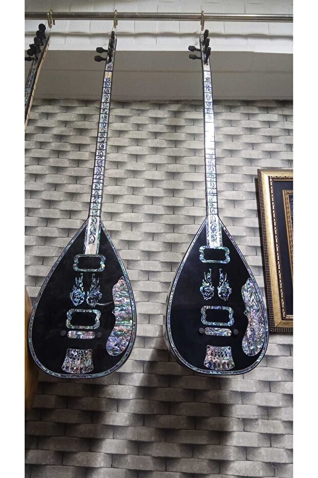 Profesyonel Elektro - 1