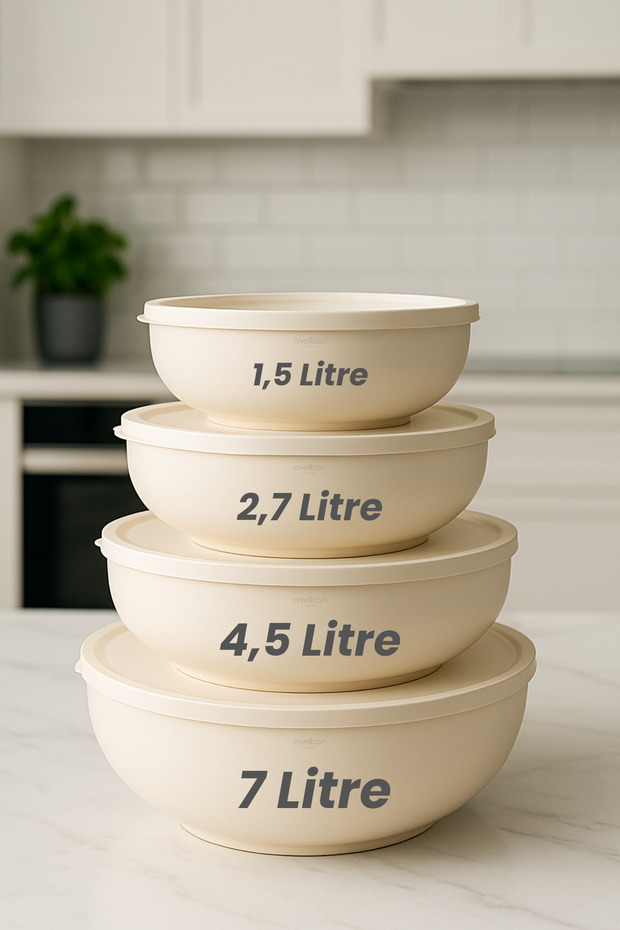 4-Piece Round Storage Container, Food Storage Container, Dough Basin, Large Size Storage Container Set, Set of 4 - 2