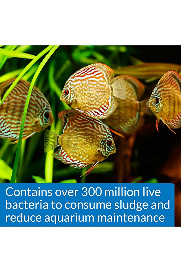 منظف البكتيريا ستريس زايم، 4 أونصة، متعدد الألوان - 3