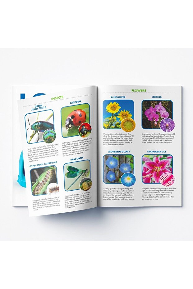 GeoSafari - Kidscope Microscope - 6