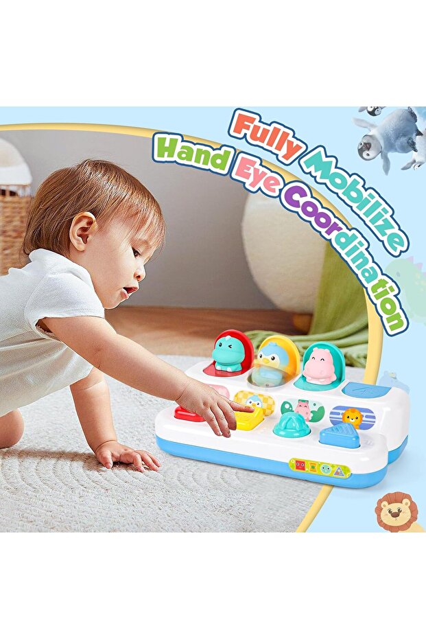 لعبة تعليمية من LZDMY - 5