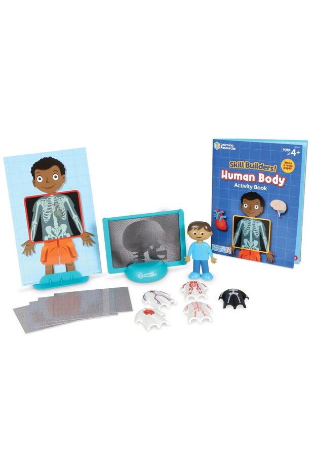 Educational activity set - Human body - 3
