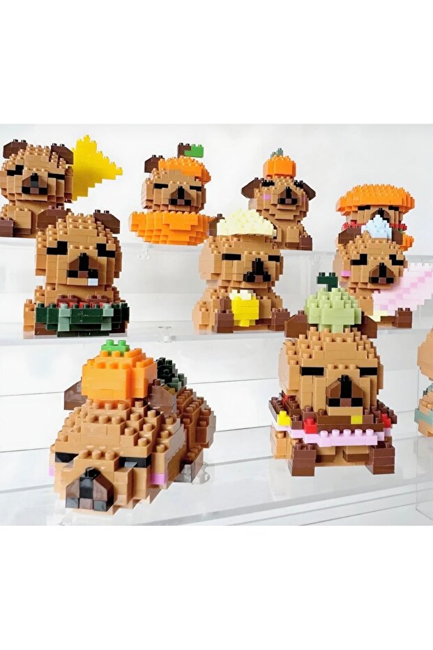Rastgele Model Bricks Capybara Yapı Oyuncak – Mini Bricks Yapı Oyuncağı - 2