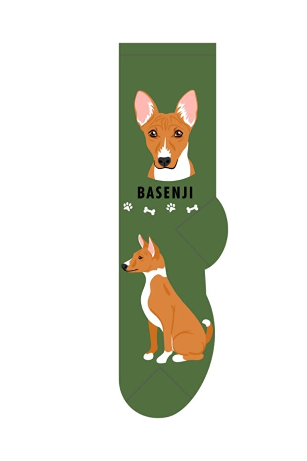 جوارب بوليستر مطبوع من الباسنجي مقاس 9-11 - 1