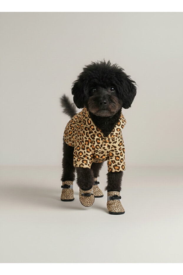 طقم معطف وحذاء للكلاب بنقشة الفهد - 2