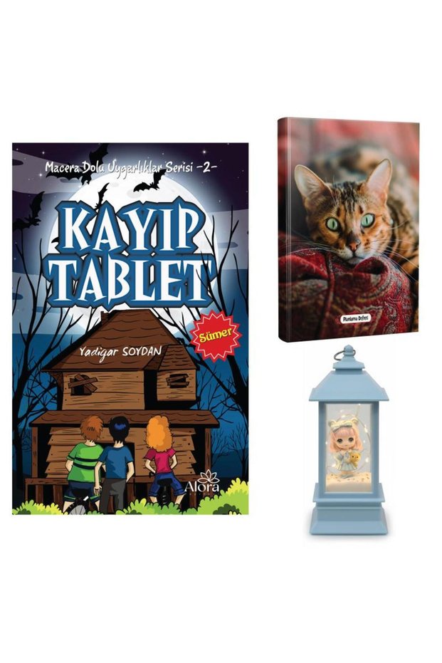 Lost tablet - confused cat planner and teddy bear girl lantern type lighted snow globe