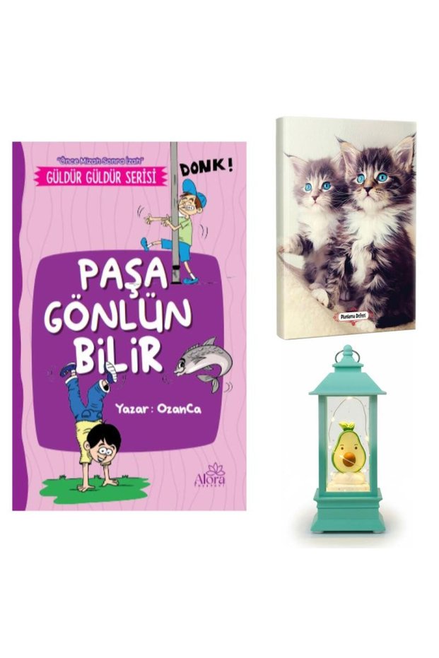 Paşa Gönlün Bilir - Maviş Kediler Planlama Defteri and Avocado Lantern Type Lighted Snow Globe
