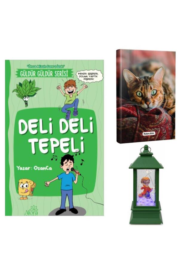 Deli Deli Tepeli - Şaşkın Kedi Planning Notebooks and Harry Potter Themed Lantern-Type Light-Up Snow Globes