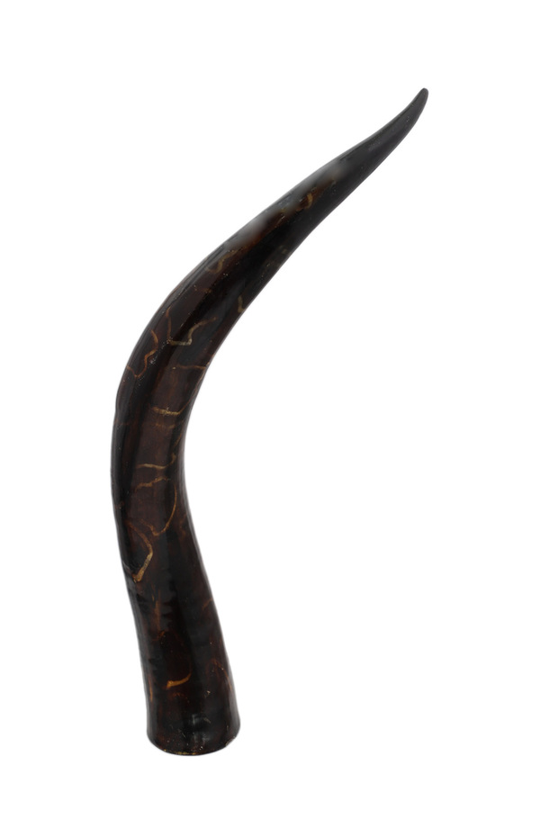 Real Hand-Carved Decorative Horns – Full-Size Collectible Accent