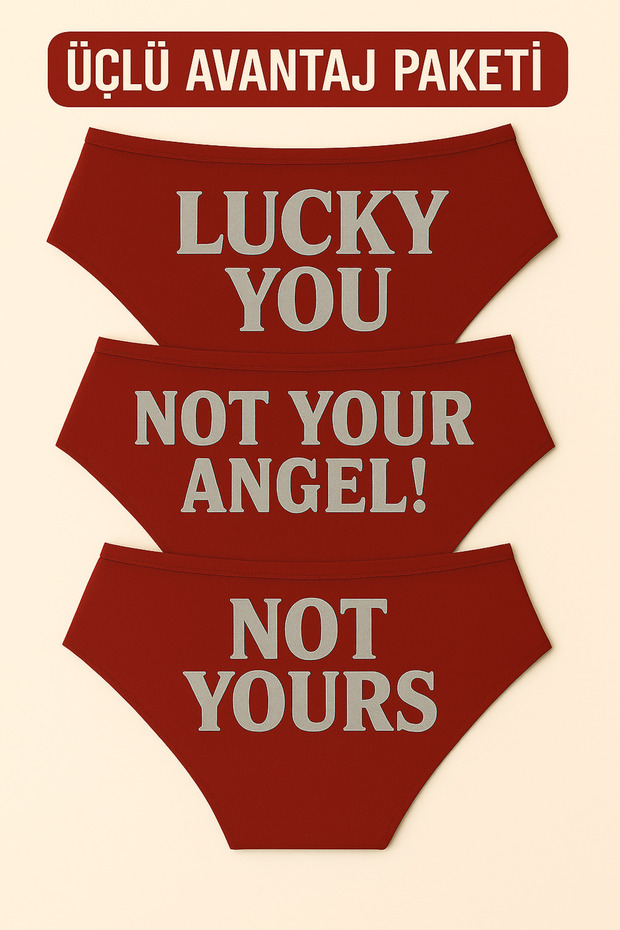 Pack of 3 Red Christmas Themed Women's Slip Panties, Metallic Lettering Printed , Fun Underwear