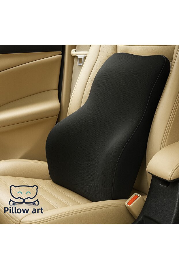 Memory Foam Back Pillow - Ergonomic Back Elastic Pillow for Office and Car Seat