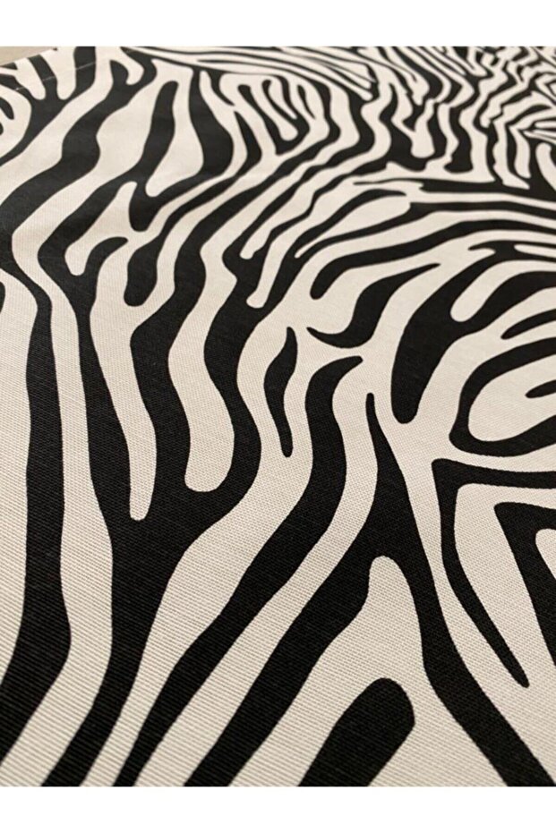 Duck Zebra Runner - 3