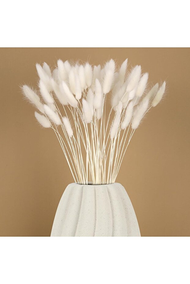 Natural Dried Cotton Grass, Rabbit Tail Bridal Bouquet Arrangement Flower Lagurus 60 Branches