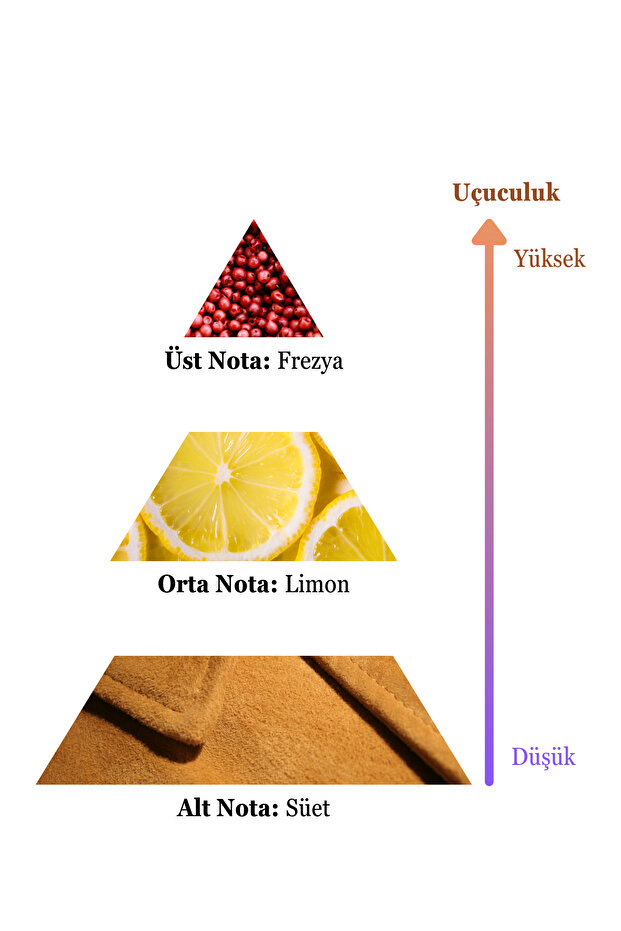 Kadın Parfüm 100 ml Edc - 5