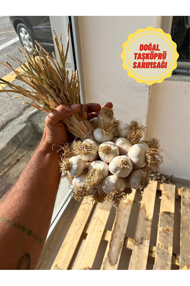 Hakiki Kastamonu Taşköprü Sarımsağı - 1