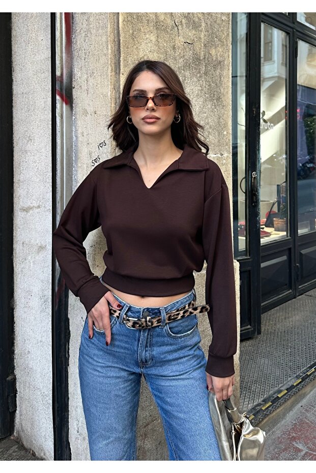 Women's Brown Polo Neck Modal Textured Soft Blouse