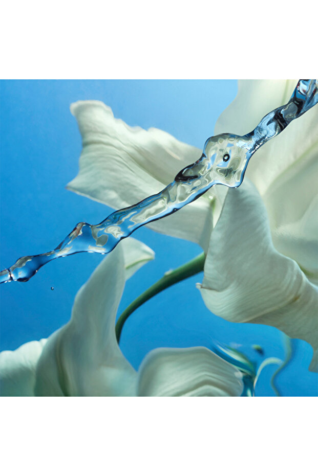 Calm Bliss Perfume - 3