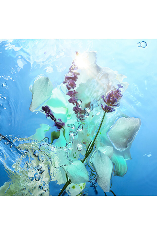 Calm Bliss Perfume - 5