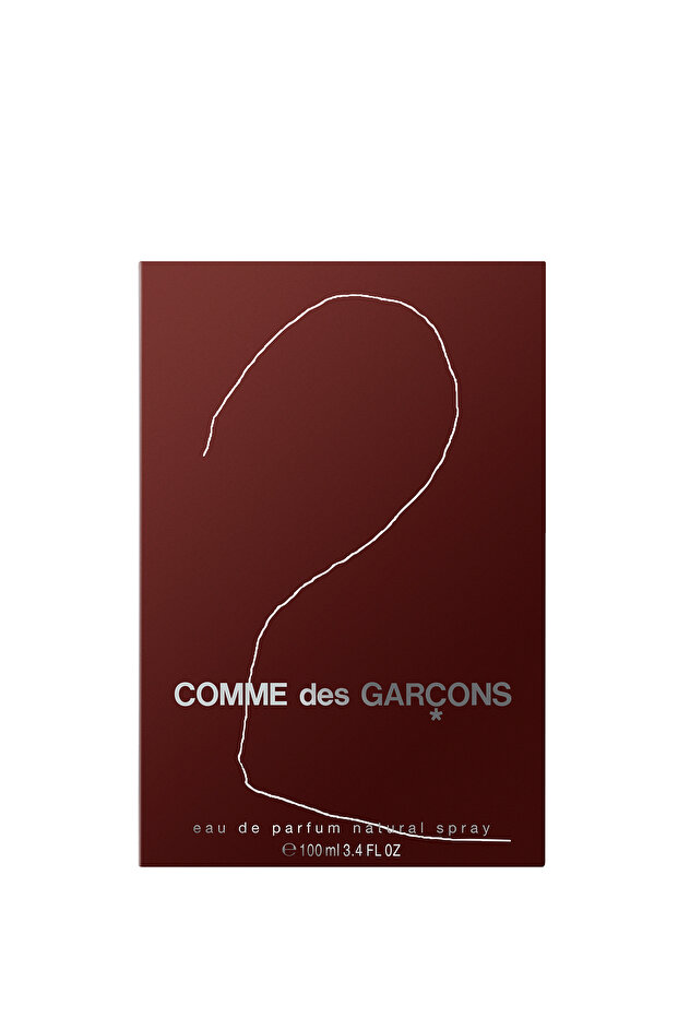 2 EDP 100 ml Unisex Parfüm - 2