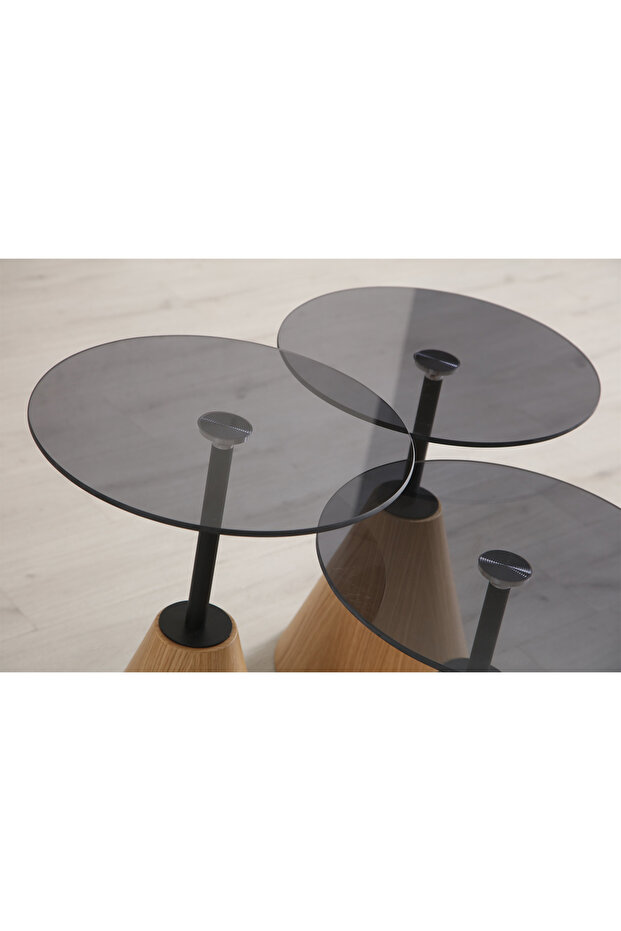 Ariel Zigon Sehpa - 4