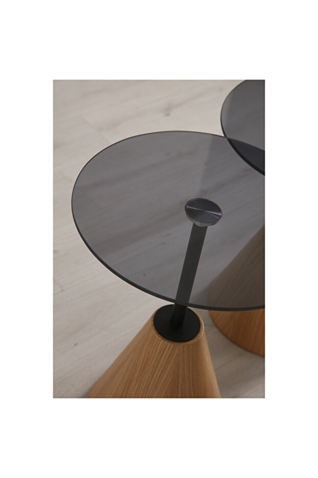 Ariel Zigon Sehpa - 3