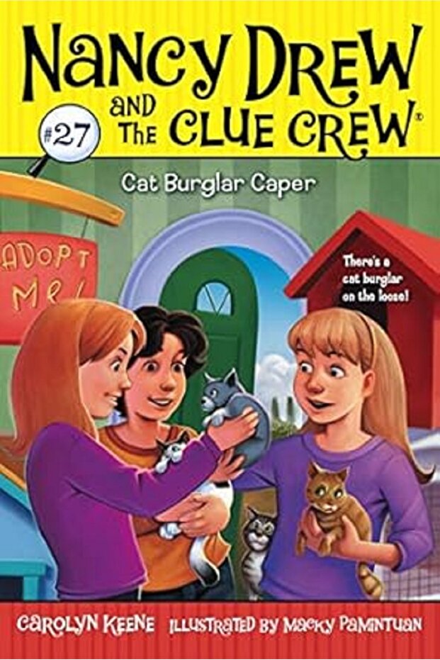 Cat Burglar Caper (Volume 27)