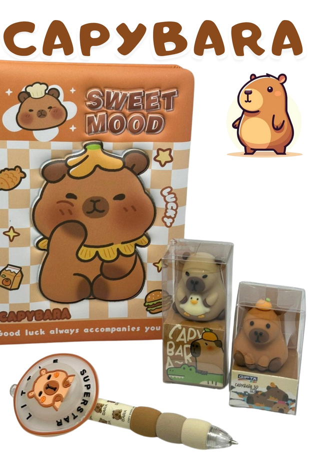 Capybara Daily-Memory Notebook Versatile Set - 2