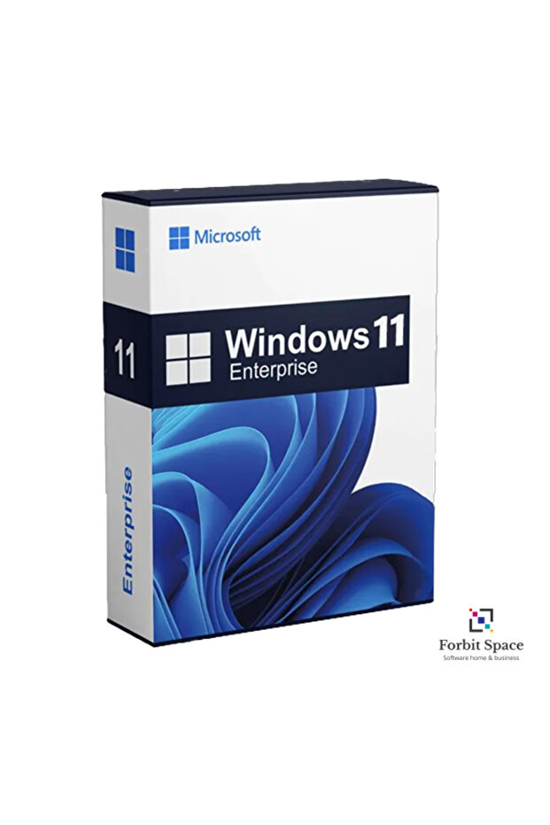 Windows 11 Enterprise - 1